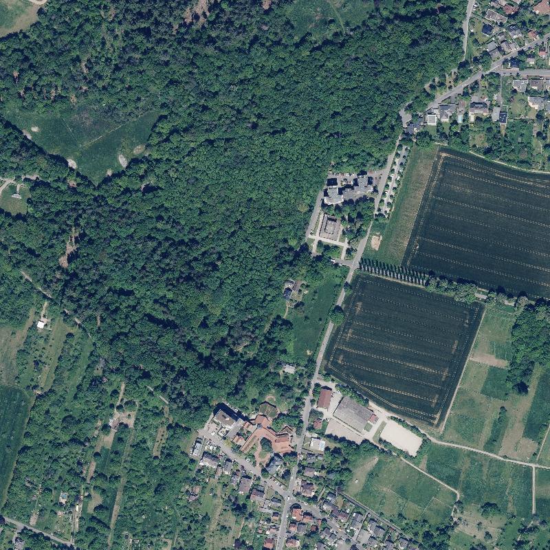 Die Lage von Kleiner Tannenwald im Orthofoto
