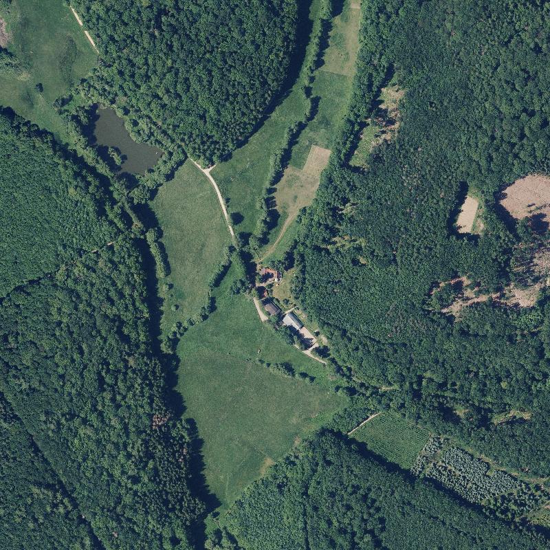 Die Lage von Hasenmühle im Orthofoto