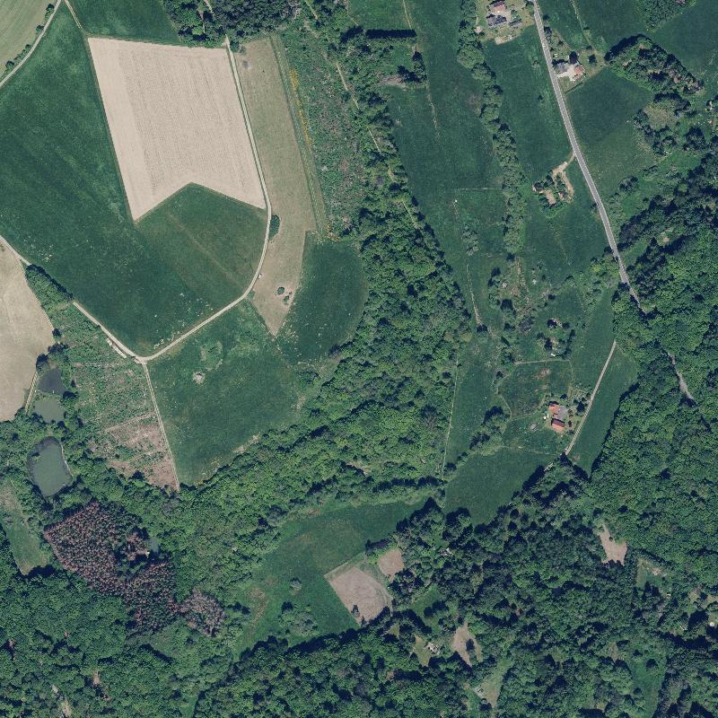 Die Lage von Mühlhausen im Orthofoto