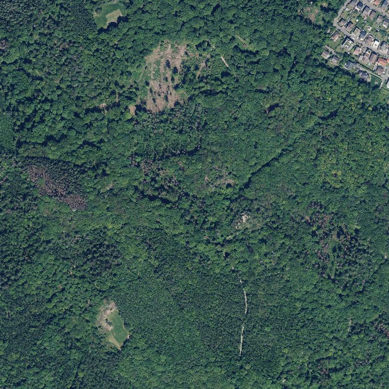 Die Lage von Haus Staufen im Orthofoto