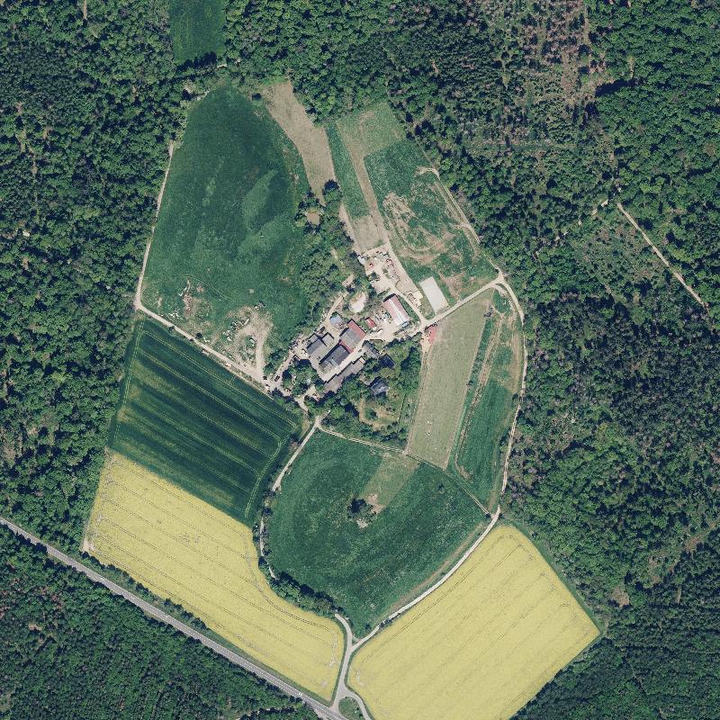 Die Lage von Erlenhof im Orthofoto