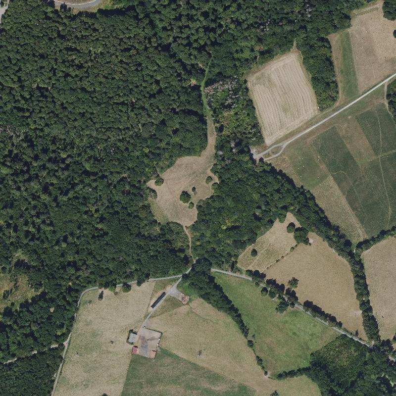 Die Lage von Ritterloh im Orthofoto
