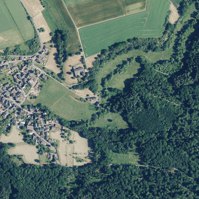 Die Lage von Mühle im Orthofoto