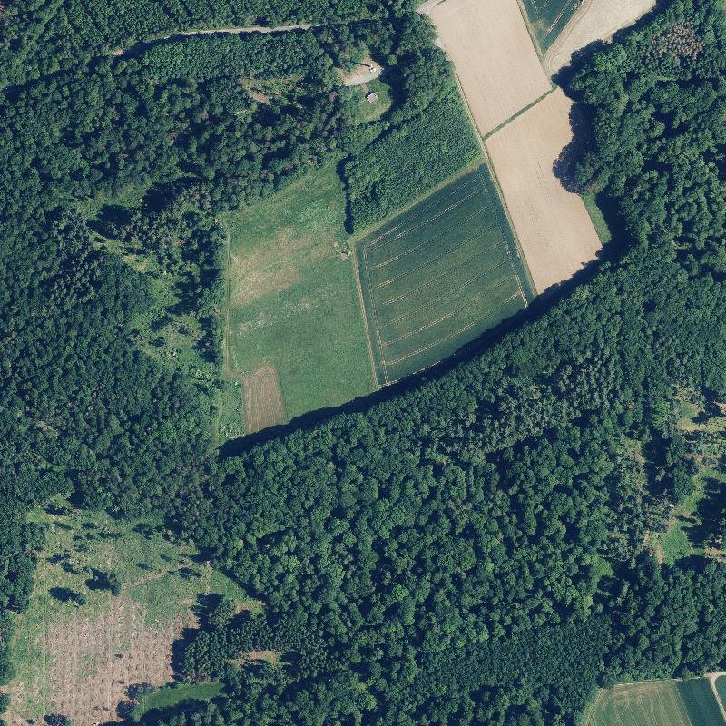 Die Lage von Neuscheid im Orthofoto