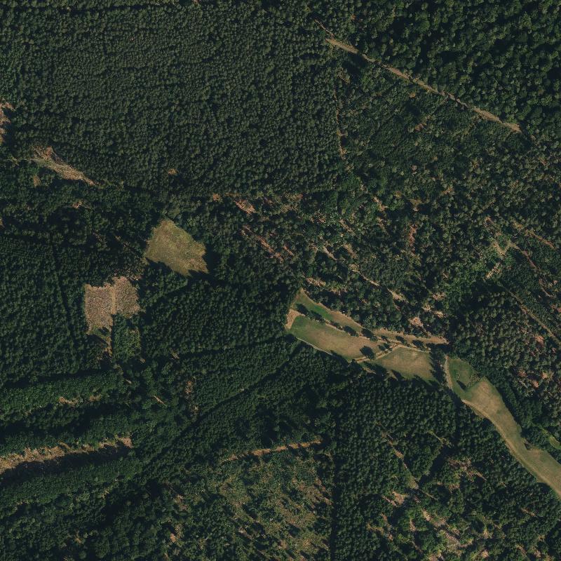 Die Lage von Eschenbach im Orthofoto