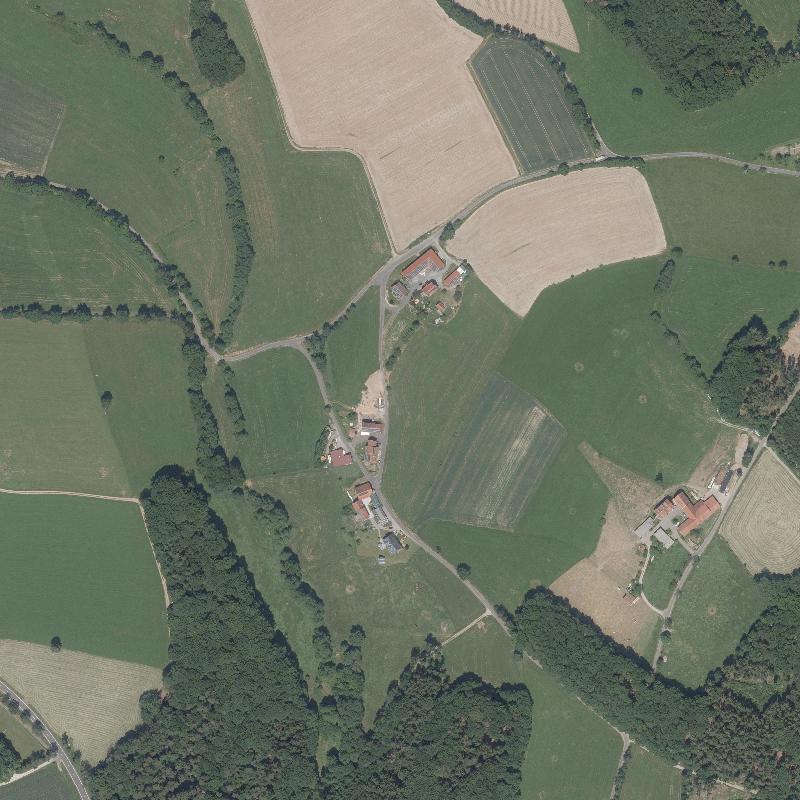 Die Lage von Hauenthal im Orthofoto