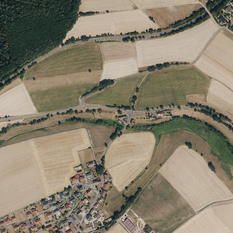 Die Lage von Mühle im Orthofoto