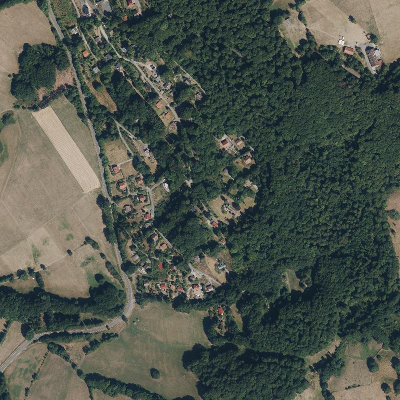 Die Lage von Buchschirm im Orthofoto