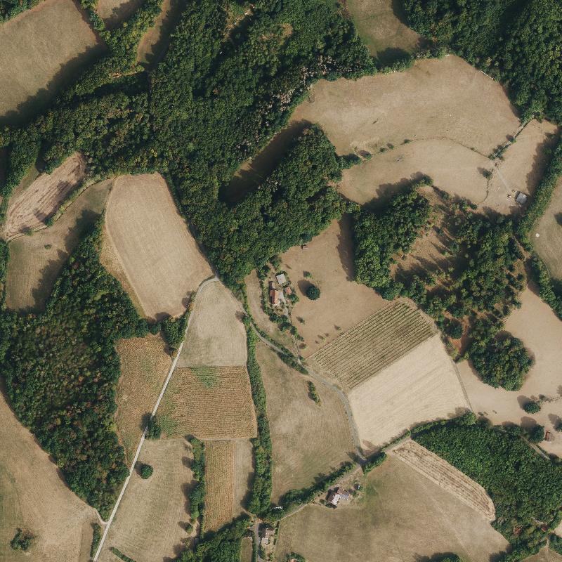 Die Lage von Tannenhof im Orthofoto