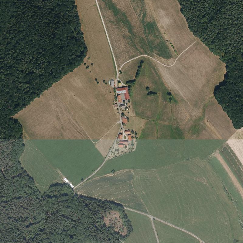 Die Lage von Dornhecke im Orthofoto