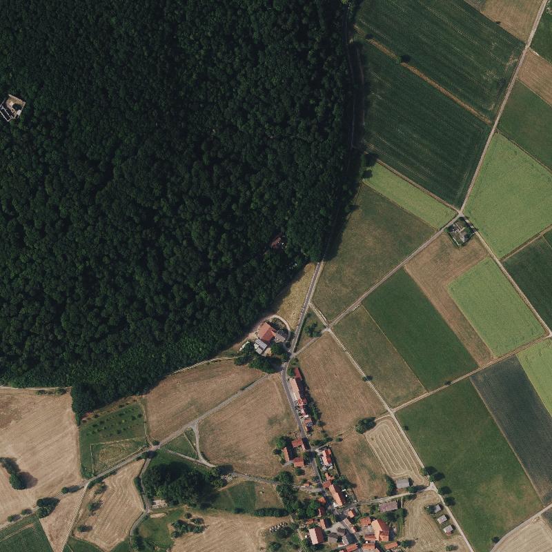 Die Lage von Forsthaus im Orthofoto