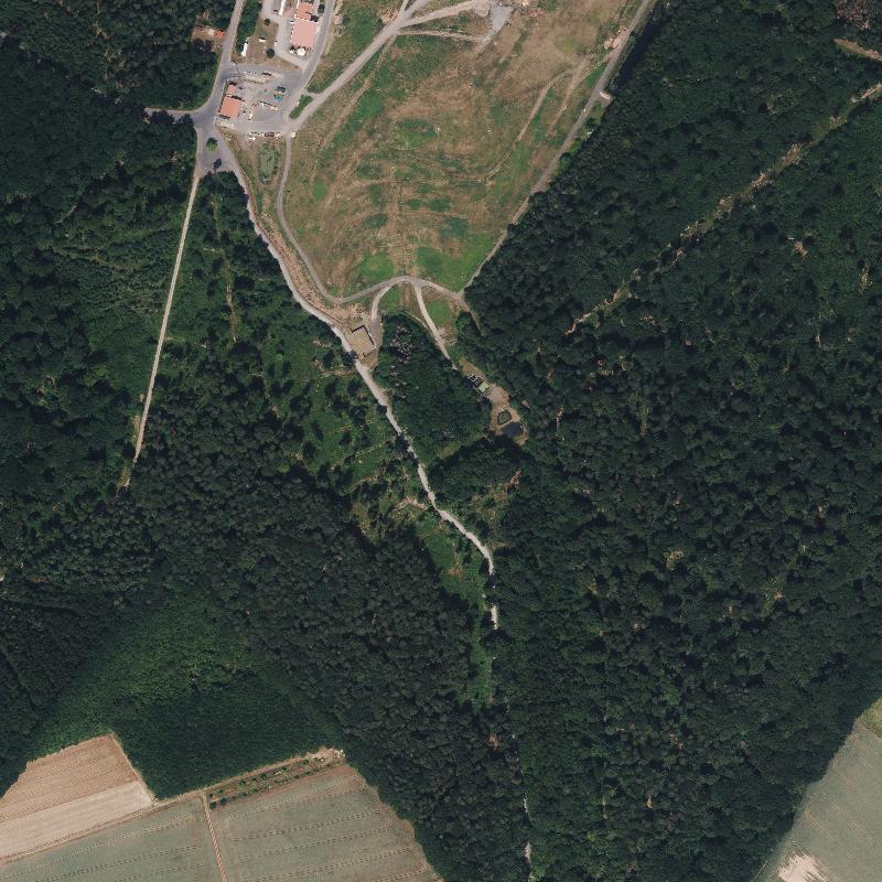 Die Lage von Trailnrode im Orthofoto