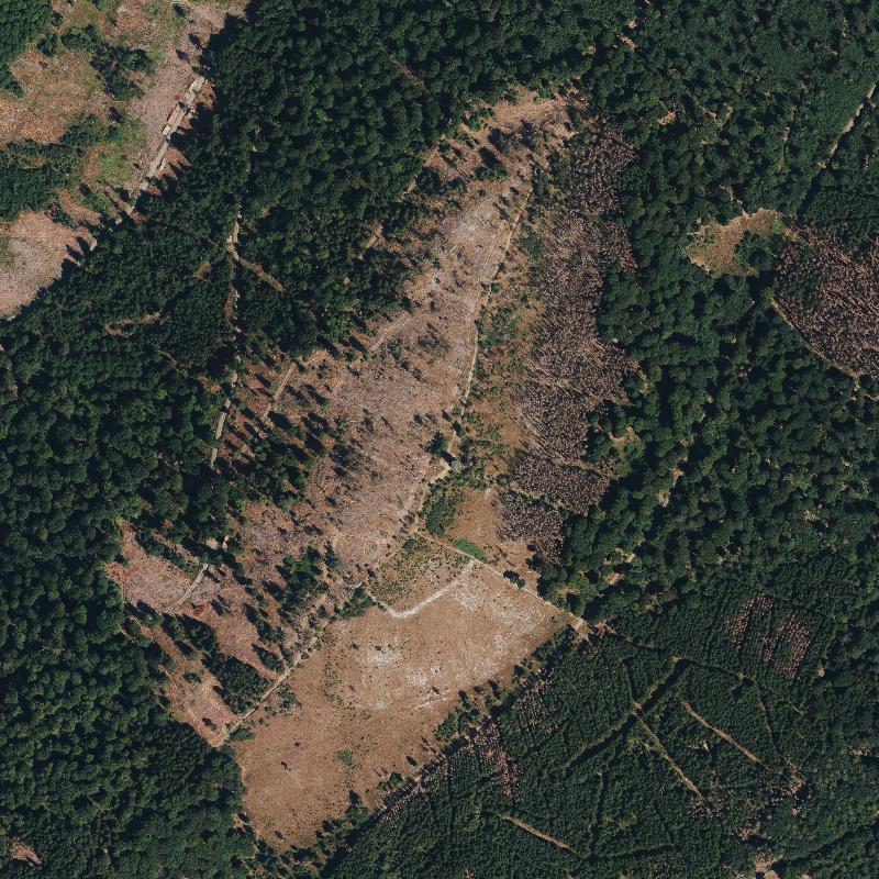 Die Lage von Wüste Garten im Orthofoto