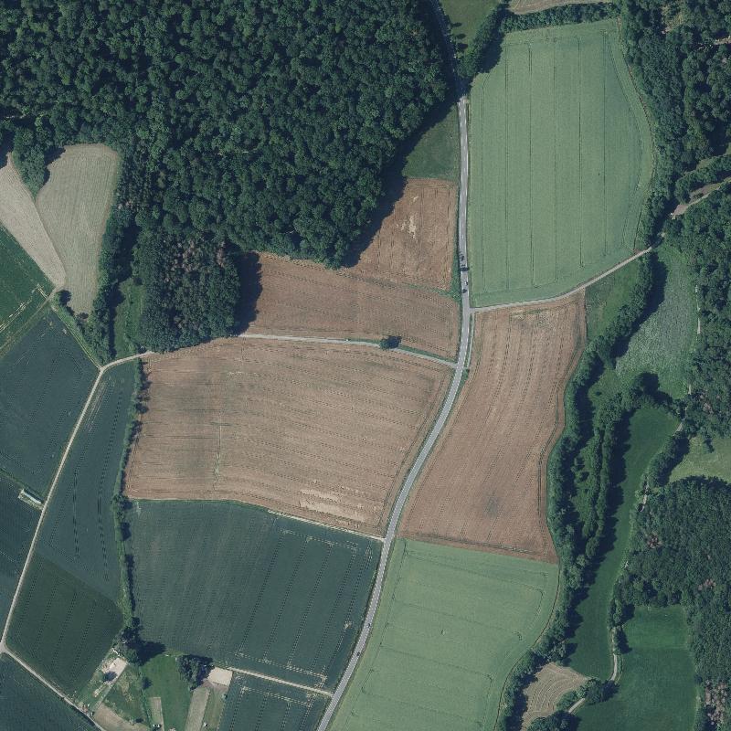 Die Lage von Reichenbach im Orthofoto