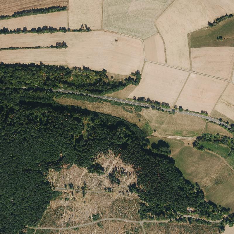 Die Lage von Wüsterod im Orthofoto