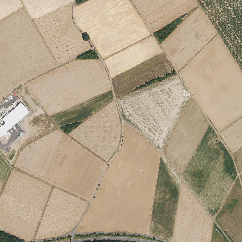 Die Lage von Steinbühl im Orthofoto