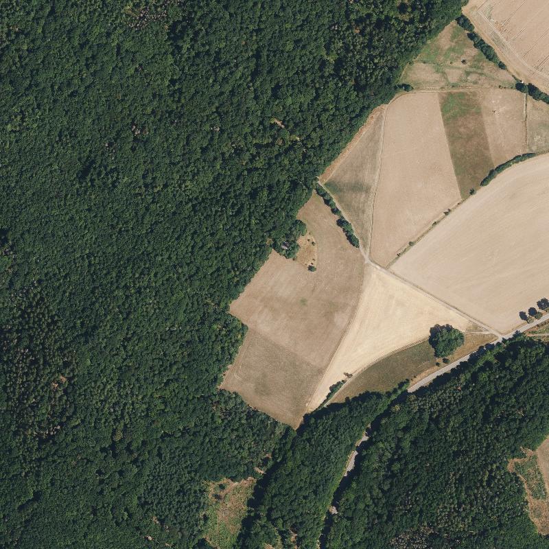 Die Lage von Waldhaus im Orthofoto