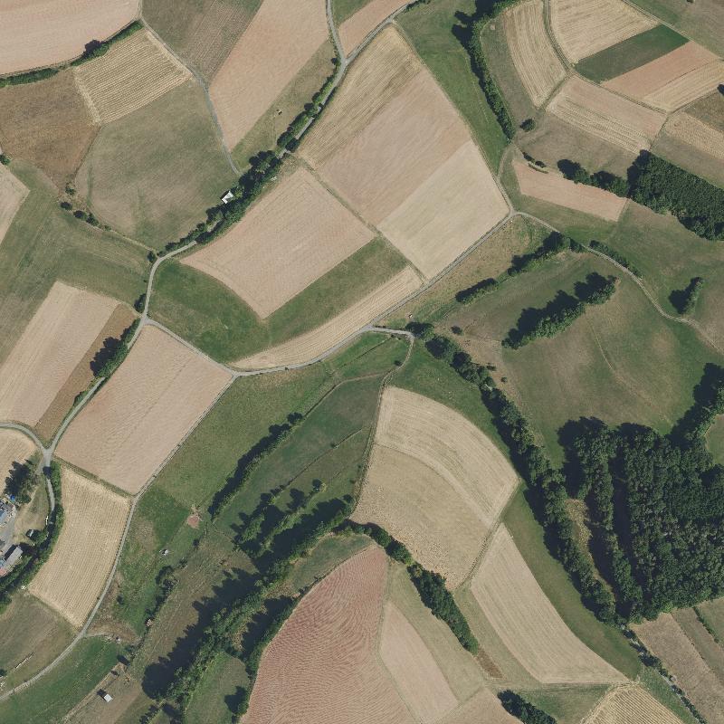 Die Lage von Wenlingen im Orthofoto