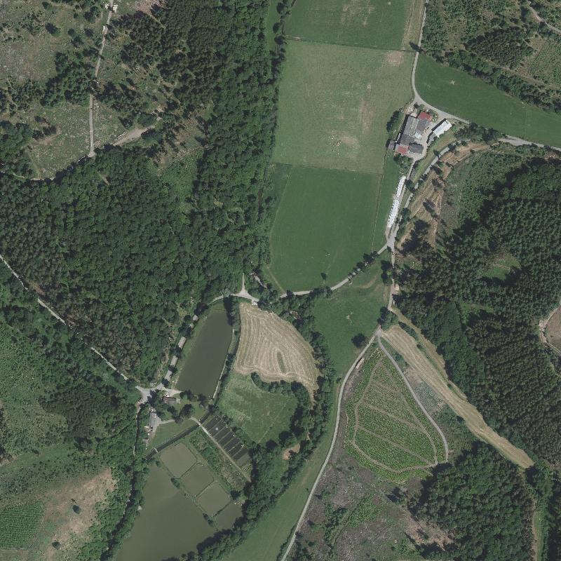 Die Lage von Wedinghausen im Orthofoto