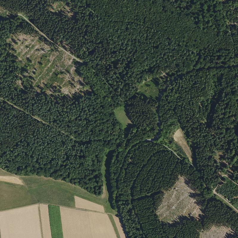 Die Lage von Rommershausen im Orthofoto