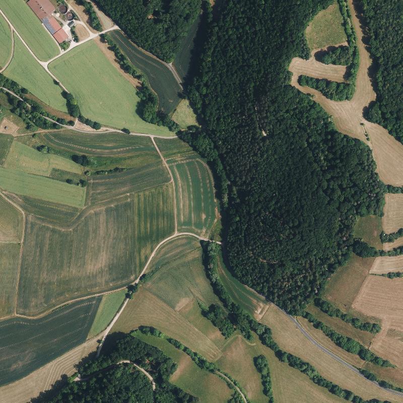 Die Lage von Speckmühle im Orthofoto