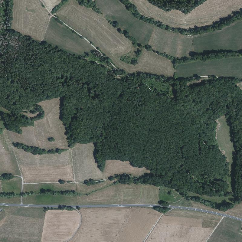 Die Lage von Todenrode im Orthofoto