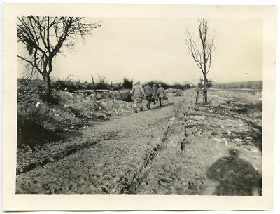 Detailansicht