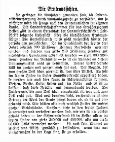 Detailansicht