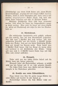 Detailansicht