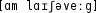 Grafik mit phonetischer Transkription des Belegs