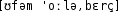 Grafik mit phonetischer Transkription des Belegs