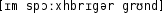 Grafik mit phonetischer Transkription des Belegs