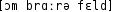 Grafik mit phonetischer Transkription des Belegs