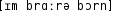 Grafik mit phonetischer Transkription des Belegs
