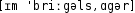 Grafik mit phonetischer Transkription des Belegs