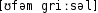 Grafik mit phonetischer Transkription des Belegs