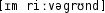 Grafik mit phonetischer Transkription des Belegs