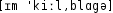 Grafik mit phonetischer Transkription des Belegs