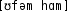 Grafik mit phonetischer Transkription des Belegs
