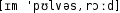 Grafik mit phonetischer Transkription des Belegs