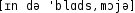 Grafik mit phonetischer Transkription des Belegs