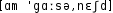 Grafik mit phonetischer Transkription des Belegs
