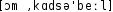 Grafik mit phonetischer Transkription des Belegs