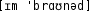 Grafik mit phonetischer Transkription des Belegs