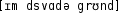 Grafik mit phonetischer Transkription des Belegs