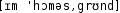 Grafik mit phonetischer Transkription des Belegs