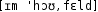 Grafik mit phonetischer Transkription des Belegs