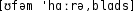 Grafik mit phonetischer Transkription des Belegs