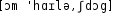 Grafik mit phonetischer Transkription des Belegs