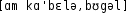 Grafik mit phonetischer Transkription des Belegs